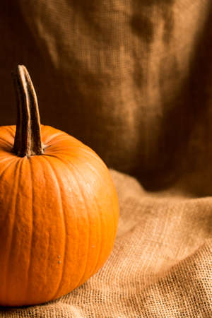 Closeup image of nice round pumpkin against beige background, autumn concept
