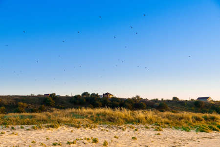 Rural lanscape hill on seashore with birds in skyの写真素材