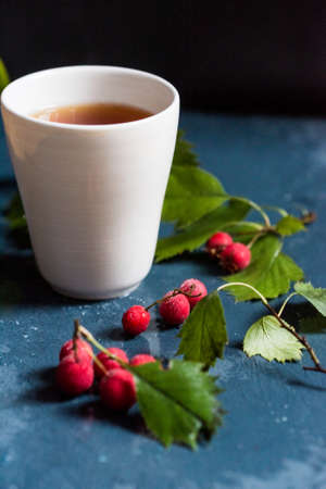 Close up white teacup and hawthorn berries