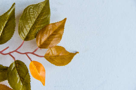 Artificial branch with green and yellow leavesの写真素材