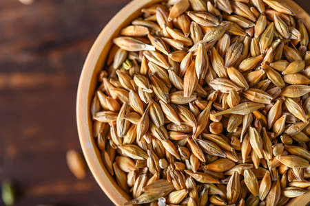 Barley grain in wooden bowl on wooden tableの写真素材