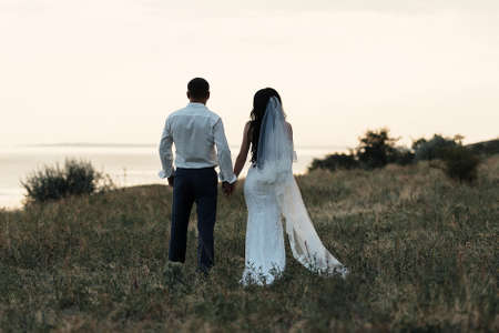 Bride and groom walk and hold hands on meadowの写真素材