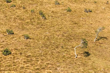 Beautiful view of Horton Plainsの写真素材