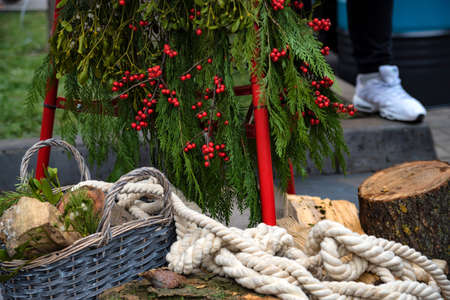 Christmas composition with tree, logs and ropeの写真素材