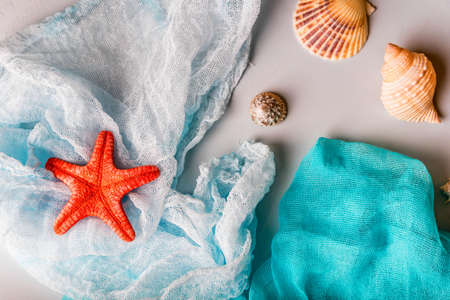 Seashells and starfish on cian and white clothの写真素材