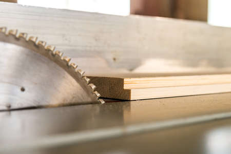 Circular saw cuts wood close up