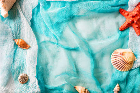 Seashells and starfish on cian backgroundの写真素材