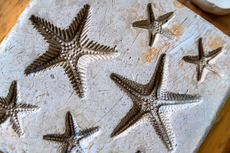 Clay imprints of starfishの写真素材