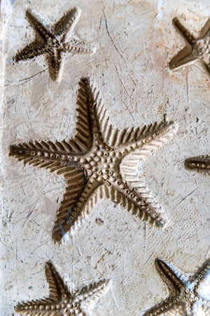 Clay imprints of starfishの写真素材