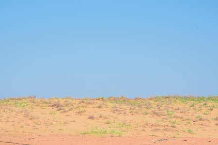 Semi-desert nature on sunny dayの写真素材