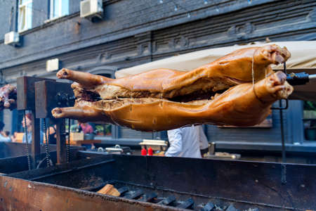 Grilled smoked whole pig on a skewerの写真素材