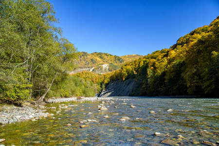 Landscape with mountain river and forest in autumnの写真素材