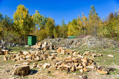Chopped logs firewood on ground in back yardの写真素材