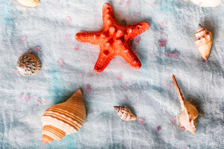 Seashells and starfish on white cloth background