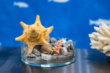 Decorative art, imitated sea in small glass trayの写真素材