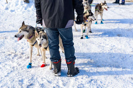 View of Husky digs with a sleigh