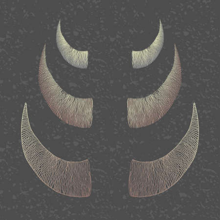 Hand drawn horn silhouette with doodle elements. Vector illustration of bull hornsのイラスト素材