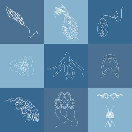 Plankton outline icon set. Vector illustration of small marine animal life - outline icons for educational banners, scientific posters, ecology and environmental projectsのイラスト素材