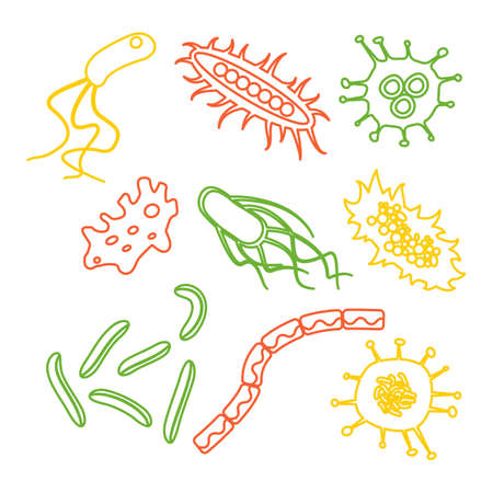 Different bacteria types set isolated on white background. Stock vector illlustration in cartoon styleのイラスト素材