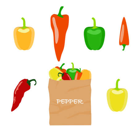 Pepper in brown paper bag on white background. Stock vector illustration with different kinds of vegetable isolated and packed for healthy food shopping.のイラスト素材