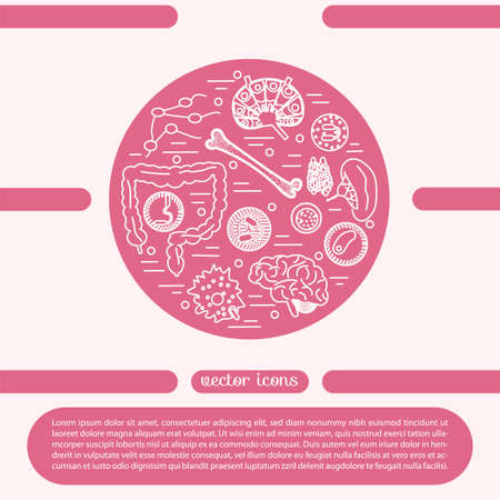 Immune system icon set. Stock vector illustration of human internal organs, body parts and cells in immune response.のイラスト素材