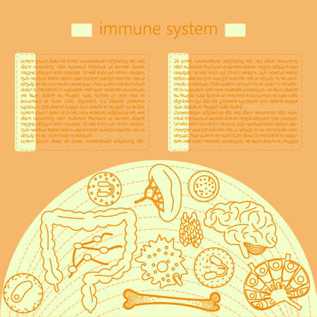 Immune system icon setのイラスト素材