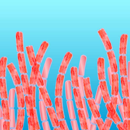 Multicellular organism algae in blue water. Stock vector illustration of red underwater species.のイラスト素材