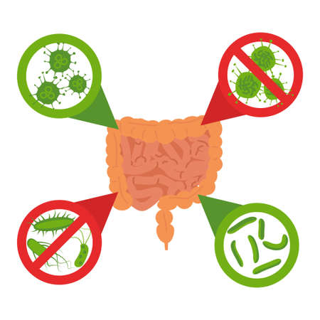 Good and bad bacteria concept flat style illustration.のイラスト素材