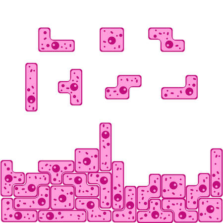 Epithelial cells in shape of tetris game elements form lauer and tissue. Stock vector illustration of magnified skin cells, human tissue in simplified view. Medicine and biology collectionのイラスト素材