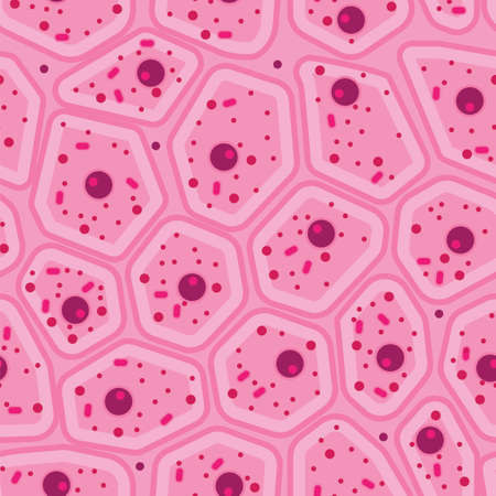 Epithelial pink seamless pattern. Stock vector illustration of magnified skin cells, human tissue under the microscope. Medicine and biology collectionのイラスト素材