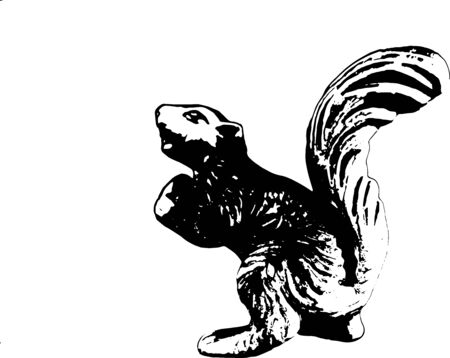 Curious Squirrelのイラスト素材