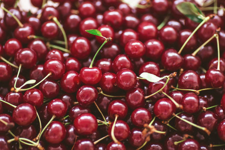 Close up of pile of ripe cherries with stalks and leaves. Large collection of fresh red cherries. Ripe cherries background. Cherry background, top view. summer juicy fruits