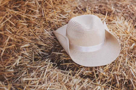 A cowboy hat lies on a bed of straw inside a barn. Sunlight fills the space, highlighting the texture of the straw. This scene captures a moment on a farm.