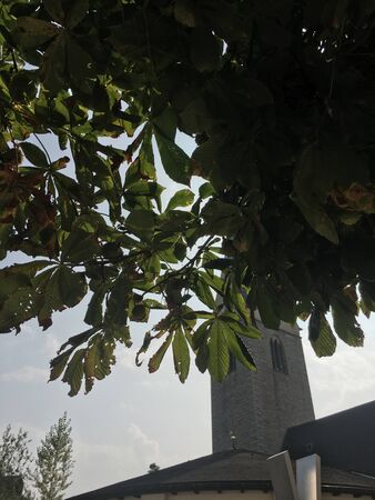 church muehltal tree sky leavesの写真素材