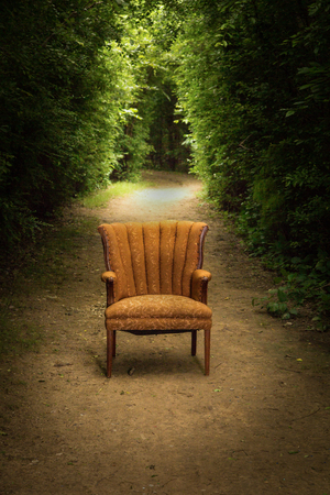 Isolated old high back chair in wooded areaの写真素材