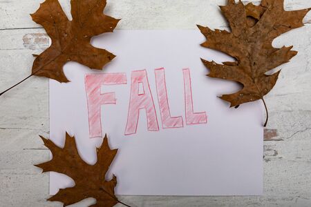 The word fall on white sheet of paper with brown leaves laying around on wooden background