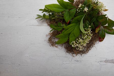 Organic rustic nest with greenery leafs piled on a white wooden backgroundの写真素材