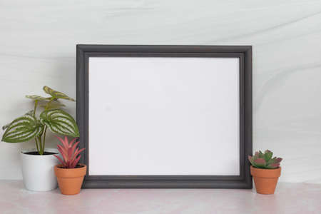 Blank empty picture frame no content or words with small desk plant