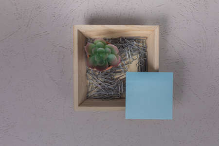 Blank note pad sitting on wooden bowl filled with paperclips and a small office plant