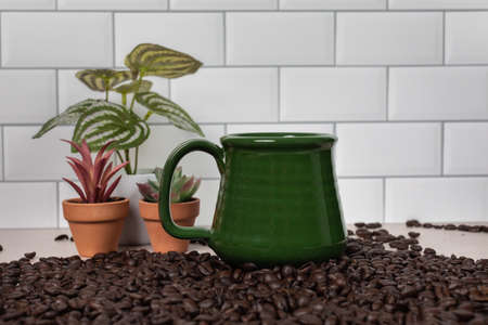 Ceramic tea mug sitting in pile of dark roasted coffee beans and three small house plantsの写真素材