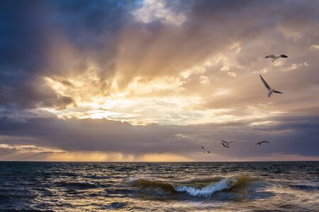 Sunset over water with wave breaking in the foreground, and seagulls flying in the skyの写真素材