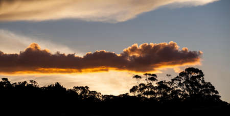 Glowing Sunset over gum trees in NSW Australia.の写真素材