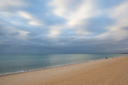 Seascape with many seagulls on sandy beachの写真素材