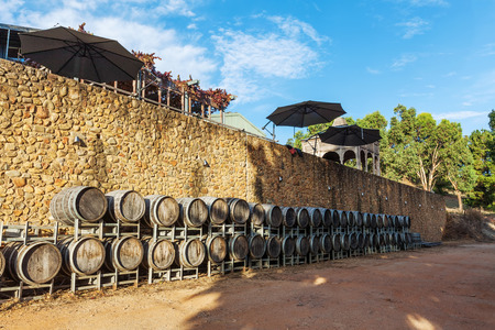 Rows of wooden wine barrels in vineyard in Australia