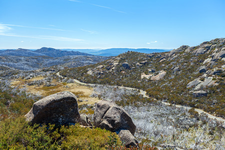 High mountain plateau covered with native bush, Victoria, Australiaの写真素材