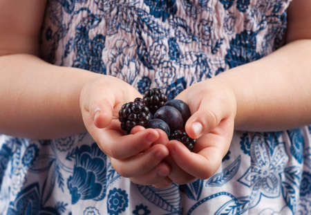 Small child hands holding blueberries and blackberries closeup.の写真素材