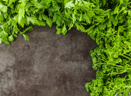 Curly-leaf and flat leaf parsley on grunge background with copy spaceの写真素材