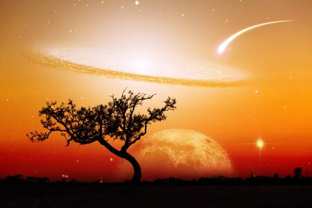 Unreal landscape of lone tree silhouette with planet and galaxy visible in vivid orange sky....