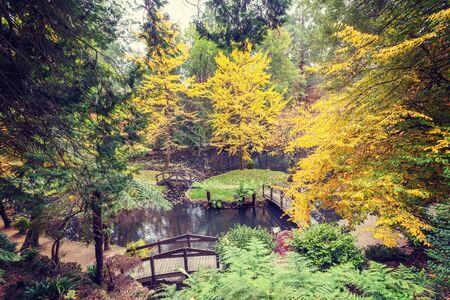 Beautiful pond with small islands and footbridges surrounded with golden trees in Autumn, Melbourne, Australiaの写真素材