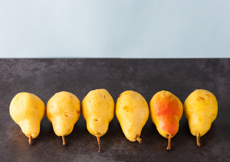 Six whole yellow Corella pears on dark grungy table. Horizontal image with copy space.の写真素材